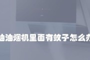不抽油烟机的清洗方法——让你轻松保持厨房清洁（无烟厨房的秘诀）