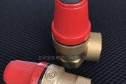 如何应对壁挂炉铜阀门漏水问题（解决铜阀门漏水的实用技巧）