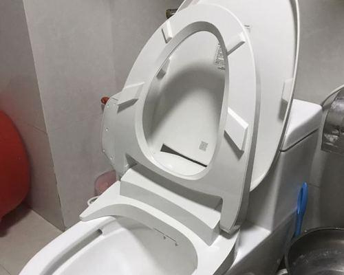 科勒抽水马桶堵塞的原因及解决方法（解析科勒抽水马桶堵塞的主要因素及简易解决办法）