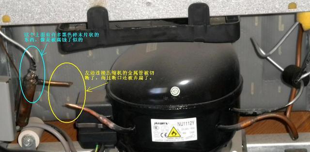 小冰箱发出异味是什么原因（解析小冰箱产生异味的根本问题及解决办法）