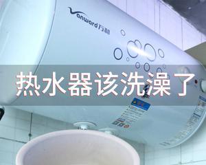 如何正确清洗燃气热水器内胆（全面了解清洗燃气热水器内胆的步骤和技巧）