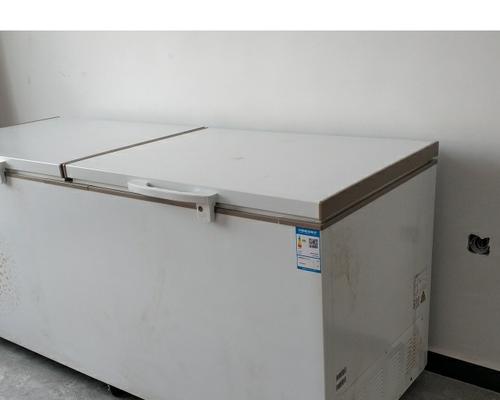 茶叶放冰柜收纳方法（教你如何正确存放和保鲜茶叶）