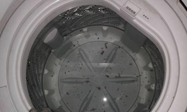 解决半自动洗衣机漏水问题的实用方法（简单有效）