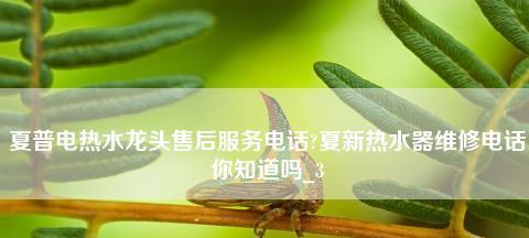 探究夏普热水器E1故障的原因及解决方法（热水器故障的常见表现和维修指南）