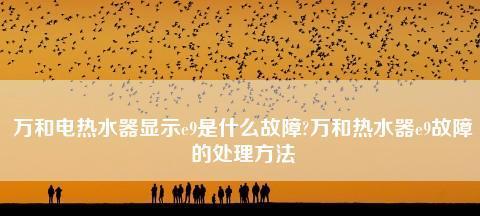 如何处理万和热水器E9故障（解决万和热水器E9故障的有效方法）