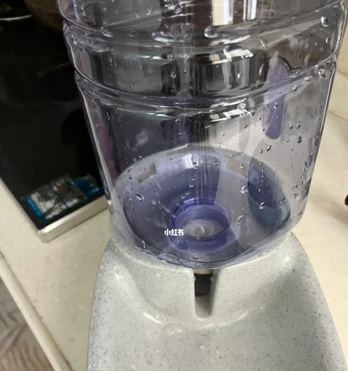 饮水机管道绿苔处理方法及预防措施（解决饮水机管道绿苔问题）
