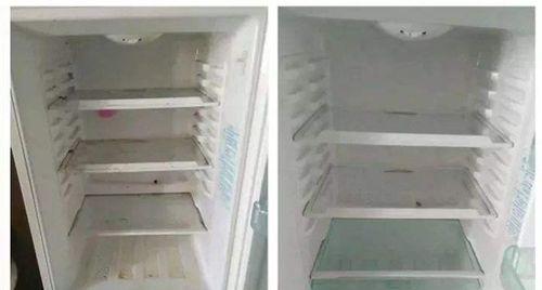 如何清洗冰箱异味（简单有效的清洗方法和技巧）