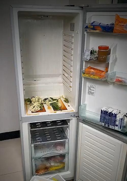 解决冰箱积水问题的有效方法（探究冰箱积水原因）