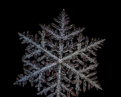 电视出现雪花问题的原因及解决方法（探究电视出现雪花的原因以及如何解决这一问题）