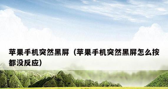 电视机半个黑屏的故障原因及解决方法（发现电视机半个黑屏）