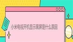 电视开机后黑屏的故障排除及解决方法（电视黑屏故障的原因分析与处理方法）