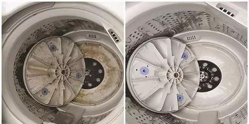 如何拆开以波轮洗衣机进行清洗（简单易懂的拆卸指南）