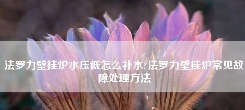 解决法罗力壁挂炉压力不足故障的方法（如何使用补水阀补水来解决法罗力壁挂炉压力不足的问题）