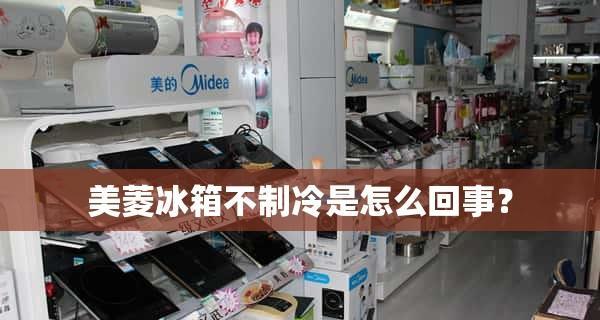 解决威力冰箱不制冷的问题（有效应对冰箱制冷失效的方法）