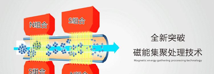 净水器水质检测的原理与方法（提高家庭饮用水安全质量的关键技术）