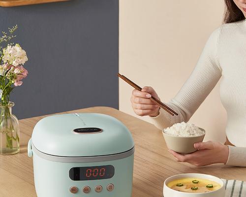 解决电饭煲煮饭发出异味的方法（保持清洁是关键）