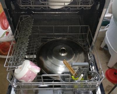 洗碗机损坏的原因及解决方法（探究洗碗机损坏的原因以及如何有效解决问题）