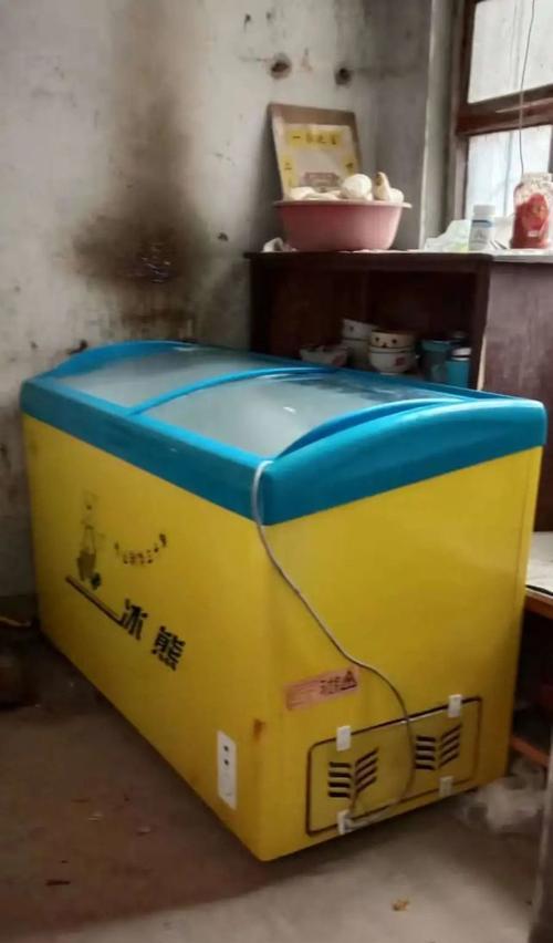 制作自制冰柜的方法（简单实用的冰柜制作教程）