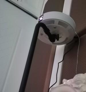 投影仪翻倒事件的原因与解决方法（探究投影仪翻倒的原因）