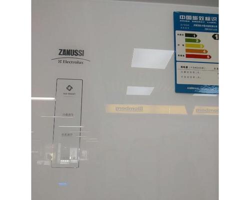 伊莱克斯冰箱停止运行的常见问题及处理方法（如何自行修复伊莱克斯冰箱的故障问题）