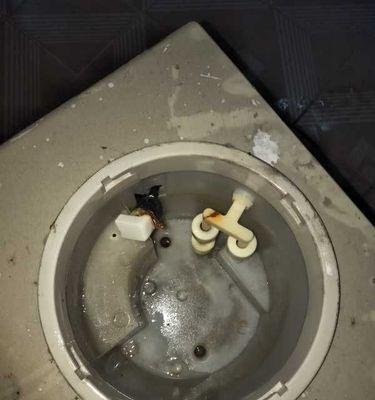 以拆饮水机的方法（轻松拆解饮水机）