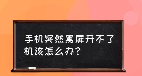 电视机半边黑屏怎么办（解决电视机半边黑屏的方法及技巧）
