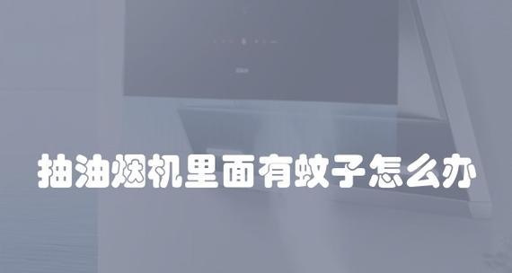 不抽油烟机的清洗方法——让你轻松保持厨房清洁（无烟厨房的秘诀）