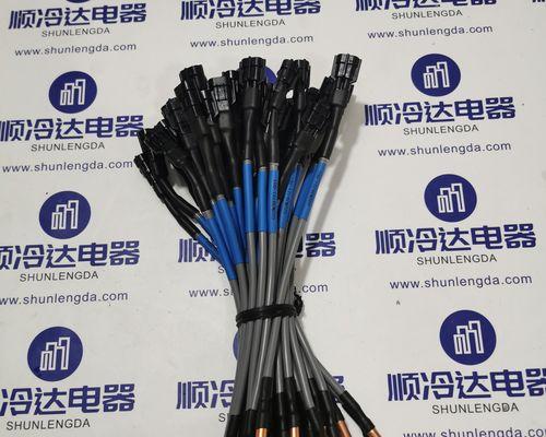 投影仪连接方法大全（一步步教你如何正确连接投影仪）