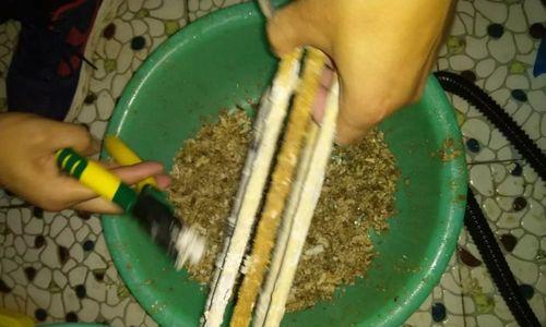如何清洗热水器上的铜钱（简单有效的清洗方法）