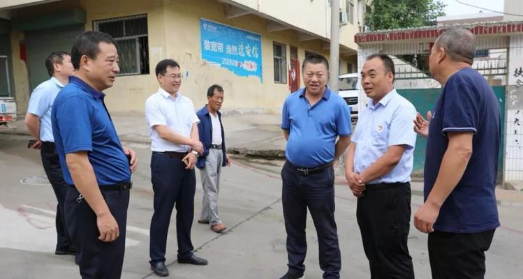 卢氏投影仪故障解决方案（卢氏投影仪故障的原因及维修技巧）