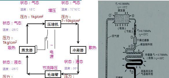 冰箱轰隆响的原因及解决方法（了解常见原因）