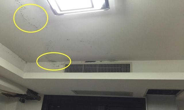 中央空调冷凝水如何排除？排除方法有哪些？