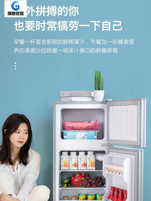 双门冰箱对比单门冰箱：哪种更适合您的家庭需求？