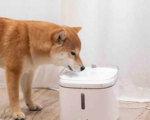 如何正确替换宠物饮水机的滤芯？步骤和注意事项是什么？