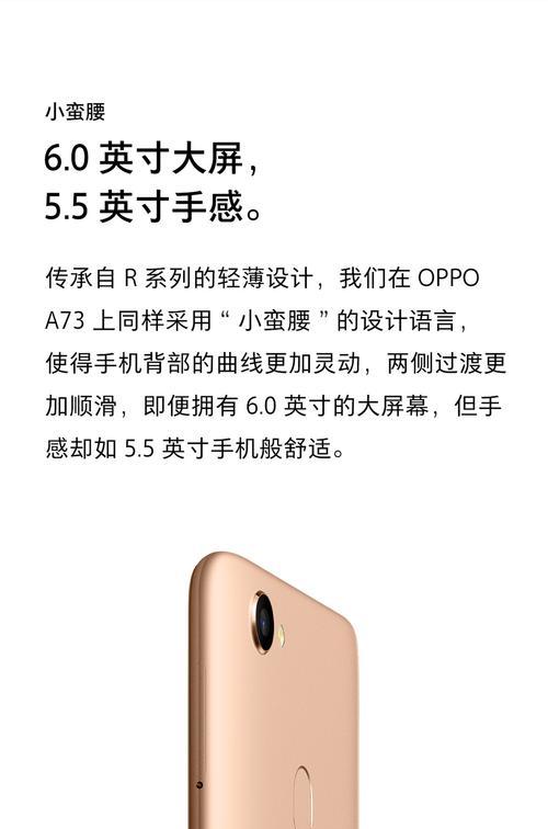 手机拍照检查图片质量技巧？