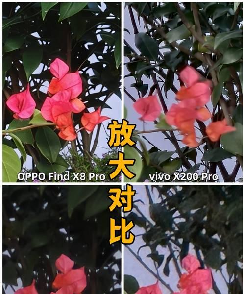 如何用手机一起拍照？有哪些技巧？