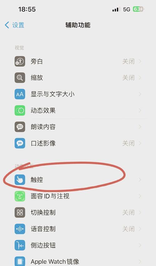 电脑录屏时音频无声是什么原因？如何解决？