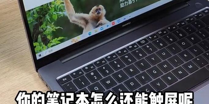 笔记本触屏失灵的解决办法是什么？