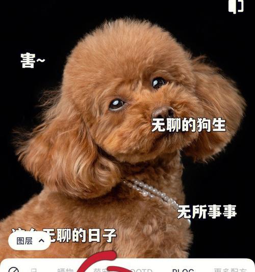 如何防止他人未经允许拍摄我的手机屏幕？有哪些保护措施？