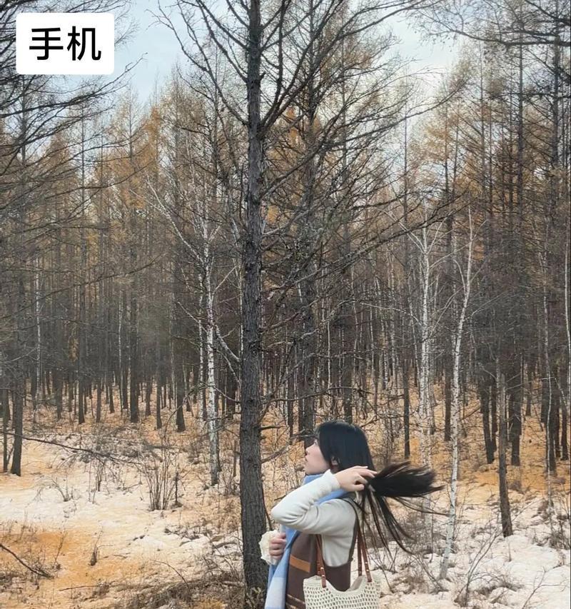 手机与相机拍照原图如何对比？