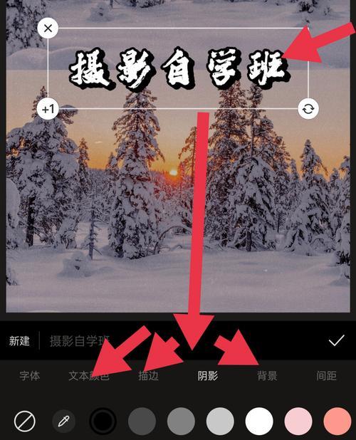 苹果手机网图拍照手机设置方法是什么？