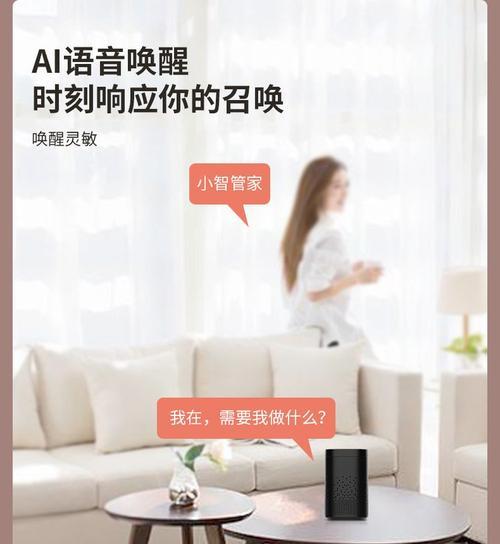 不带网关的智能音箱品牌有哪些？功能特点如何？