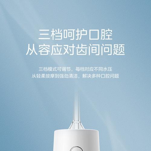 洗牙器充电器功率大小如何选择？