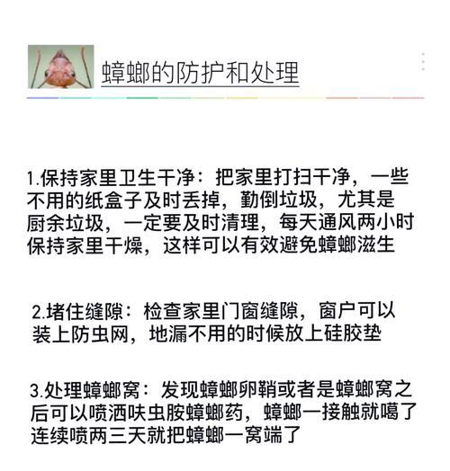 音箱上的蟑螂粪便如何清理？