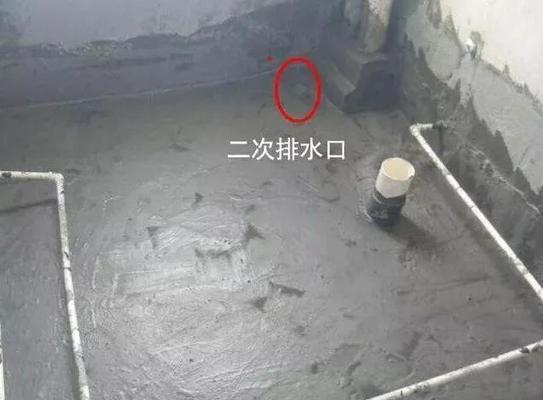 苹果手机进水后如何排水？设置中有哪些防水选项？