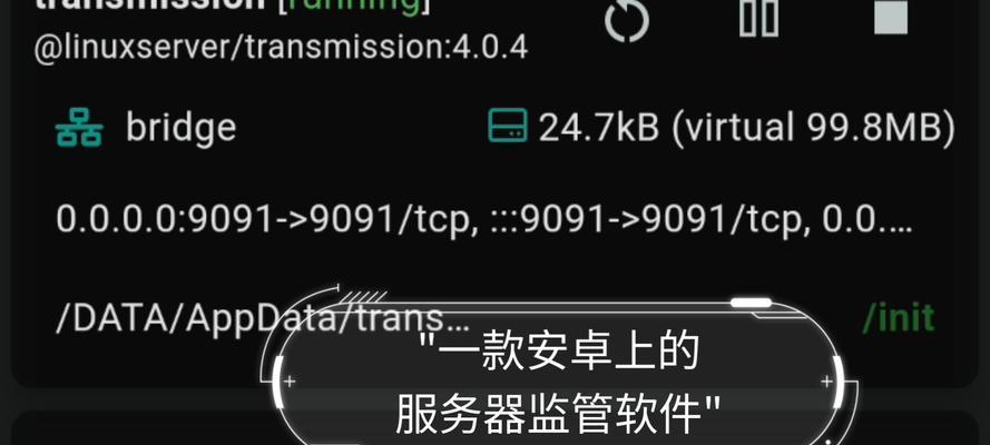用服务器玩游戏的软件哪个好？如何选择适合的软件？