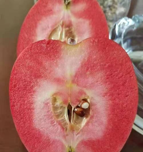 红色苹果手机有哪些型号？